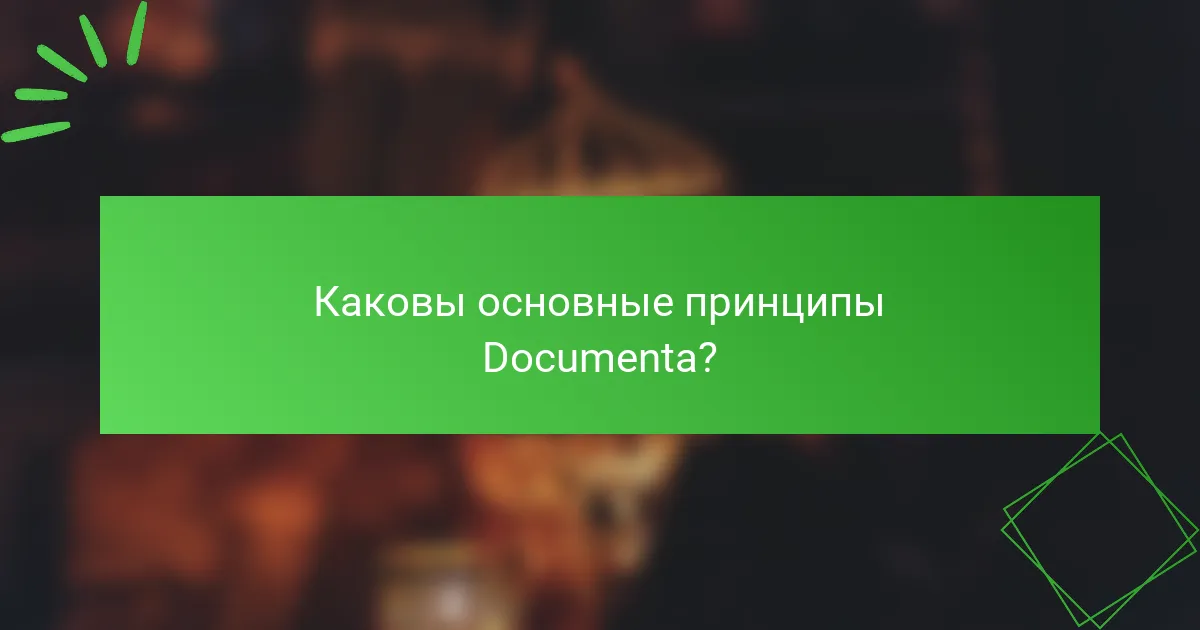 Каковы основные принципы Documenta?